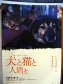 画像: (CATS & DOGS 6)　犬のこと　猫のこと