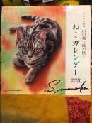 画像: 山中翔之郎さんの猫カレンダー