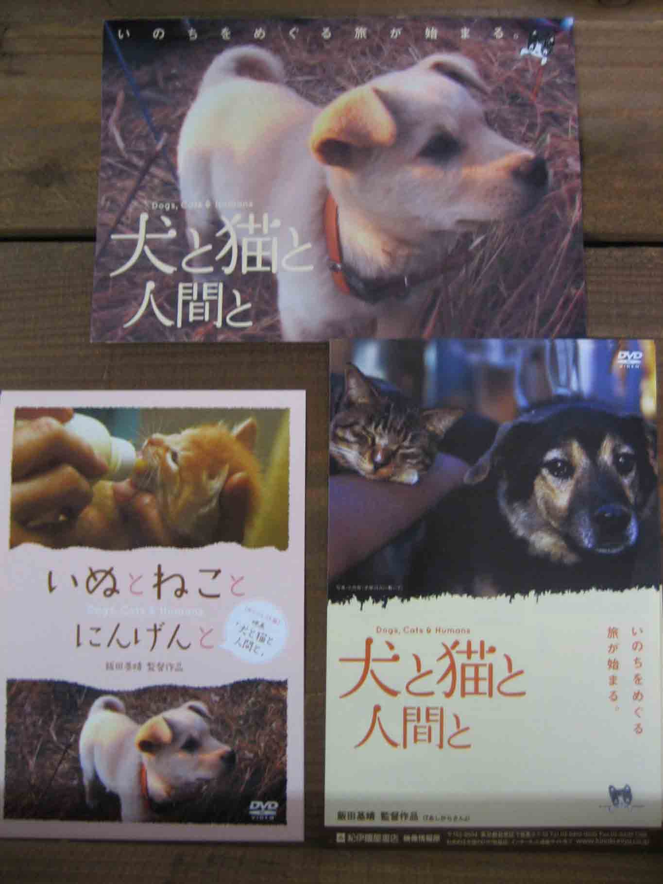 画像: (CATS & DOGS  2)  犬と猫と人間と