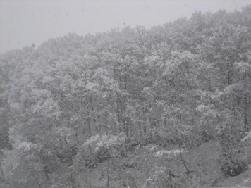 画像: 雪